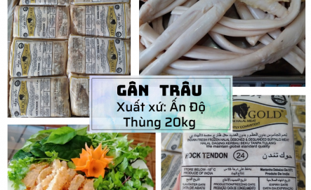 Gân Y Trâu Ấn Độ